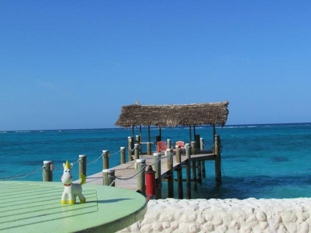 Buttercup - Nassau Bahamas