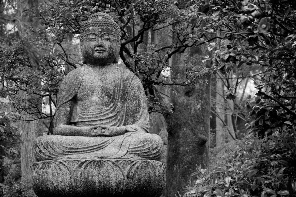 A statue in a garden